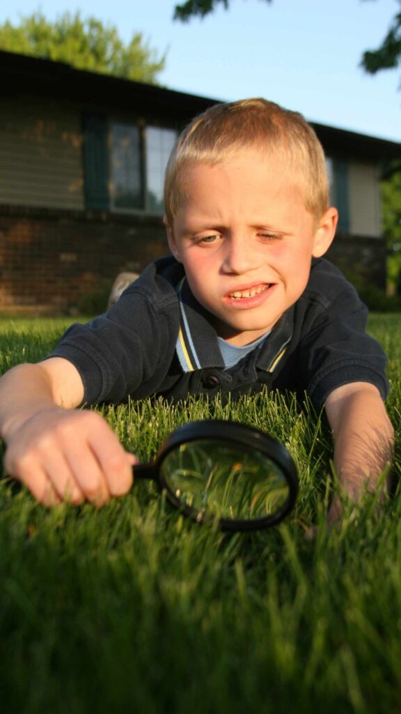montesori, exploracion de naturaleza